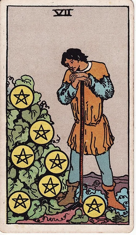 펜타클 7 (Seven of Pentacles) 타로 카드
