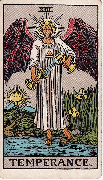 절제 (Temperance) 타로 카드