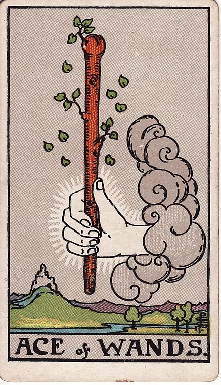 완드 에이스 (Ace of Wands) 타로 카드